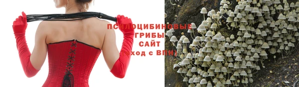 амф Лабытнанги