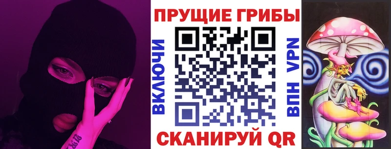 Псилоцибиновые грибы мицелий Купить Кашин
